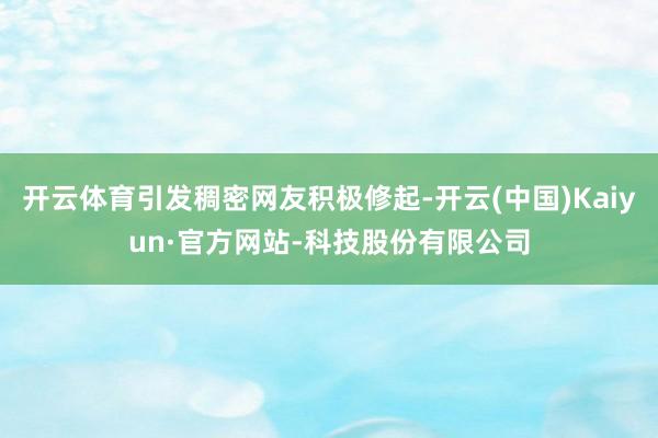 开云体育引发稠密网友积极修起-开云(中国)Kaiyun·官方网站-科技股份有限公司