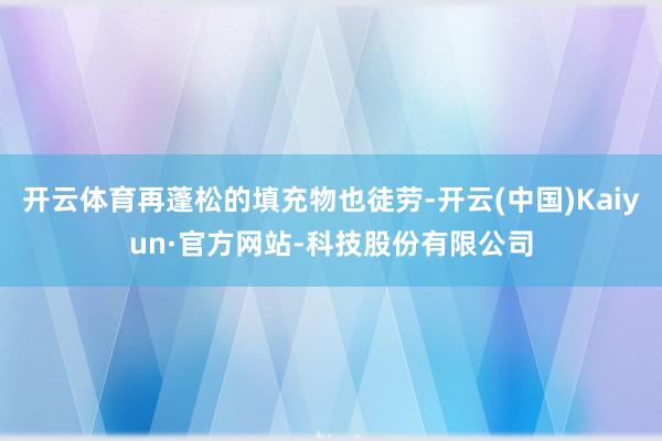 开云体育再蓬松的填充物也徒劳-开云(中国)Kaiyun·官方网站-科技股份有限公司